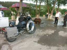 PICT6918 motorky nam hlidal medved.jpg